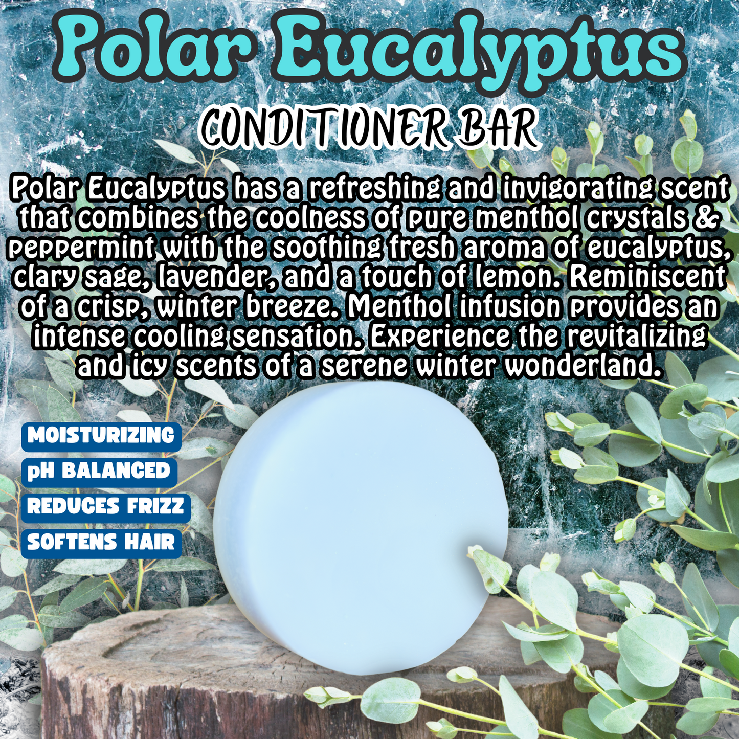Polar Eucalyptus - CONDITIONER BAR - NEW!