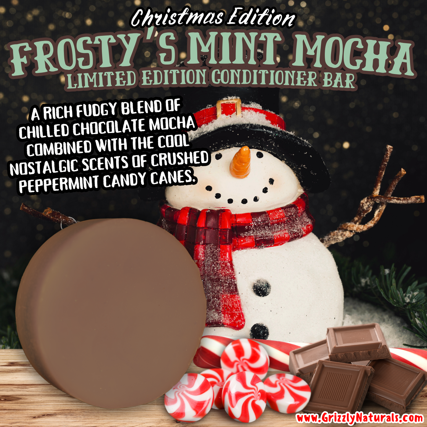 Frosty's Mint Mocha - CONDITIONER BAR