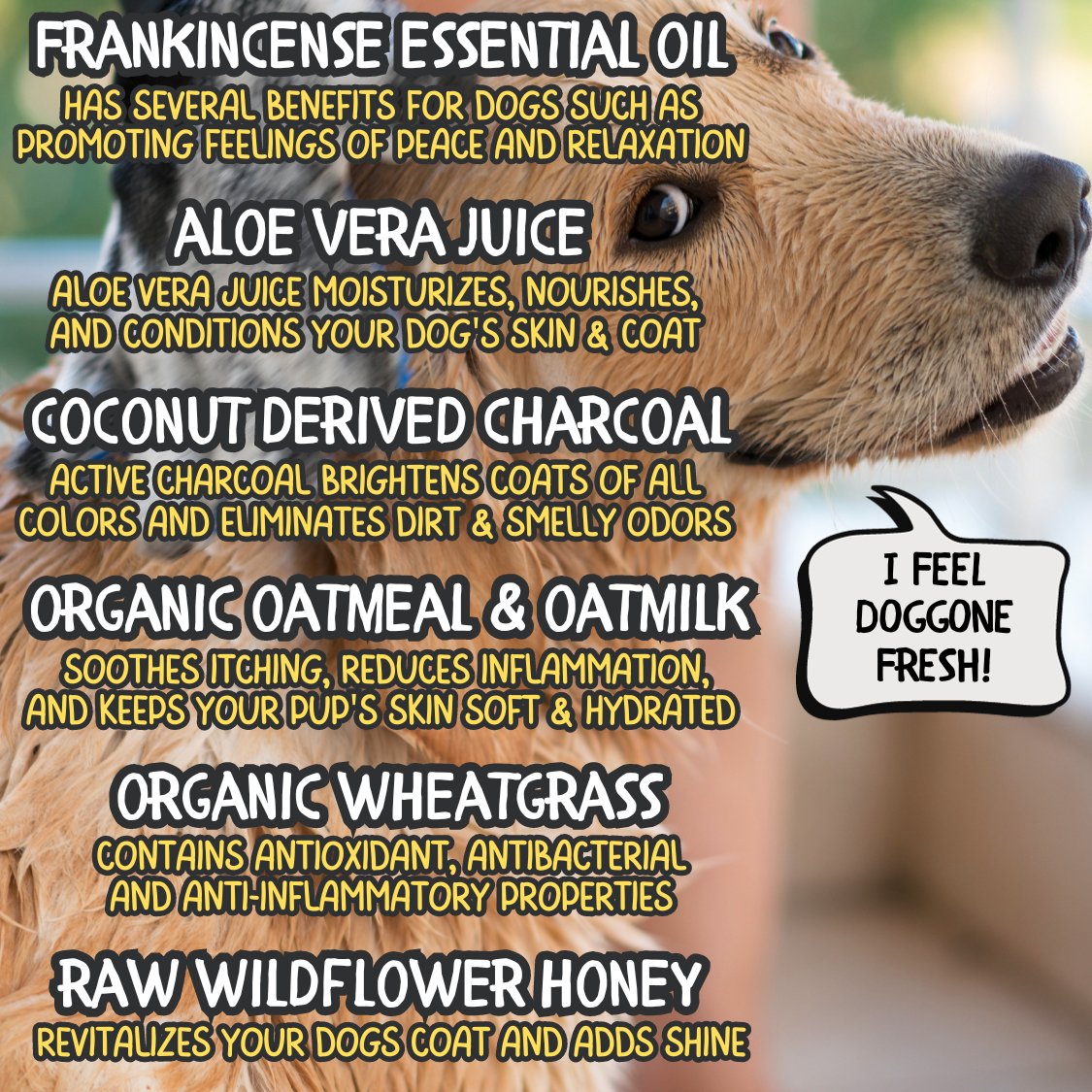 Doggone Fresh Dog Soap – Grizzly Naturals Soap Company